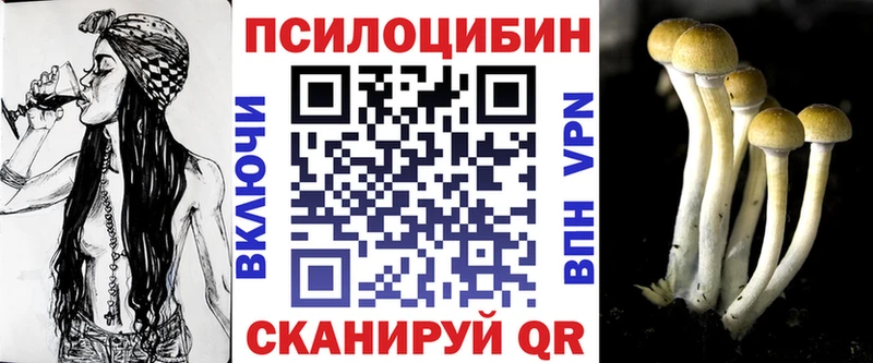 Псилоцибиновые грибы Cubensis  Купить закладки  Судак 