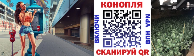 Купить закладки  Судак  Марихуана гибрид 
